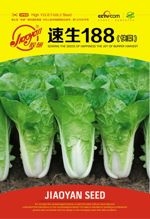 速生188（快菜）——速生小白菜